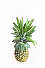 Fototapeta premium A pineapple stands alone on a white background.