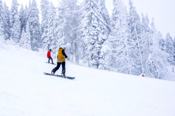 Naklejka na ściany i meble Freeride snowboarders running down the ski slope in mountain resort