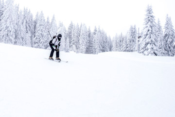 Naklejka na ściany i meble Skier skiing downhill in mountains during winter season