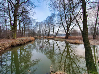 Jezioro w lesie. Pochmurny zimowy dzień. Ldzań, Polska