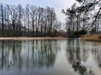 Jezioro w lesie. Pochmurny zimowy dzień. Ldzań, Polska