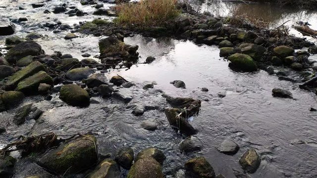 Kaskady na płytkiej rzece. Ldzań, Polska.