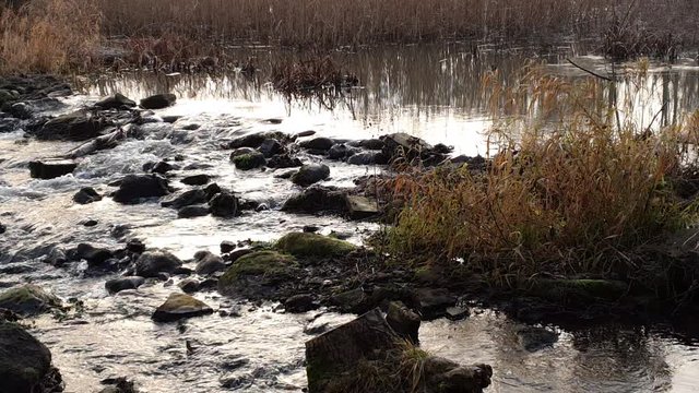 Kaskady na płytkiej rzece. Ldzań, Polska.