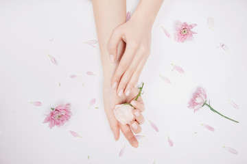 Plakat Concept beauty. Beautiful stylish trendy female pink manicure with flower on background, top view