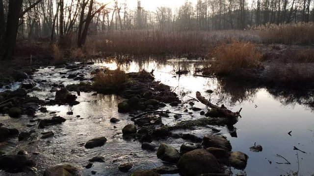 Kaskady na płytkiej rzece. Ldzań, Polska.