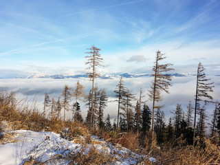 View from mountaintop on winter day with blue sky and clouds, some trees visible in foreground and mountain range in the background