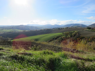 Fototapeta premium Paesaggio naturale