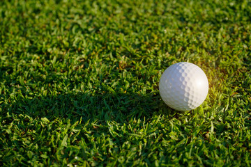 Golf ball on green grass in beautiful golf course
