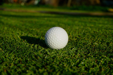 Golf ball on green grass in beautiful golf course