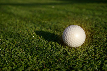 Golf ball on green grass in beautiful golf course