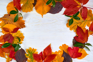 On a white surface are bright autumn leaves of different shades