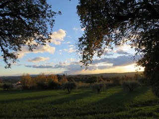 Fototapeta premium Paesaggio naturale