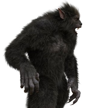 Lycan Werewolf isolated on white background 3d illustration