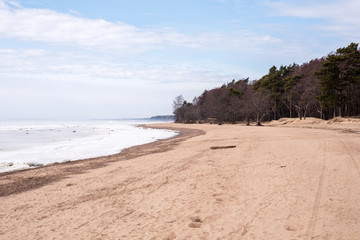 Fototapeta na wymiar deserted coast of the Baltic sea