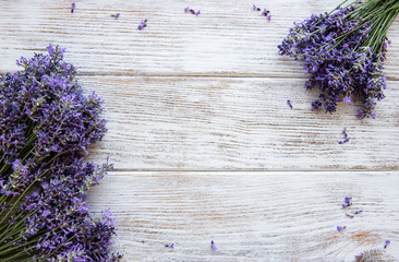 Fresh flowers of lavender