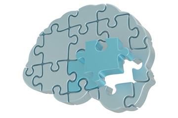 Brain puzzle Isolated in white background.  3d illustration