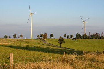 wind turbines in the field