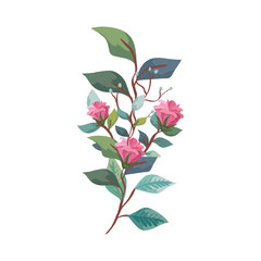 cute flowers with branches and leafs isolated icon