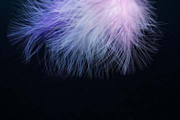  Feathers of different colors on a black background. Copy space.
