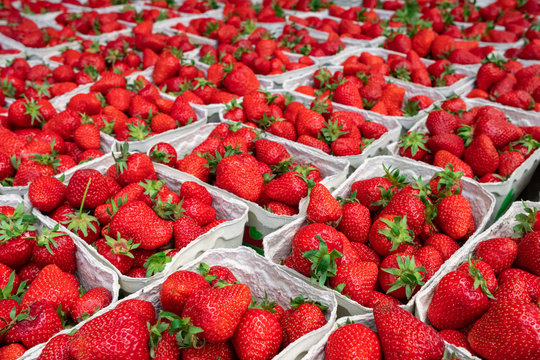 Lots of baskets with fresh strawberries for sale at farmers market close up
