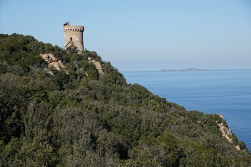 Fototapeta na wymiar Capo di Muro, Golfe d'Ajaccio en Corse