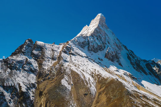 Gangotri National Sanctuary, Uttarakhand, India, Shivling with an elevation of 6543m is a mountain at Tapovan in the Gangotri Group of the Garhwal Himalayas