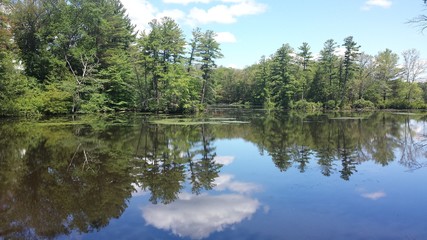 summer on the pond