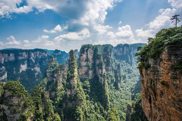  Top view of amazing natural quartz sandstone pillars of fantastic shapes among green woods in the Tianzi Mountains Avatar Mountains, the Zhangjiajie National Forest Park, Hunan Province, China.