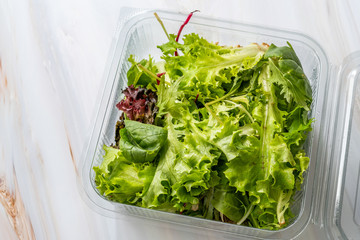 Take Away Mesclun Salad in Plastic Box Container / Package. Ready to Eat / Maskolin.