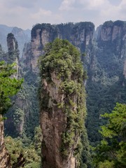 Fototapeta premium Amazing view of natural quartz sandstone pillar the Avatar Hallelujah Mountain among green woods and rocks in the Tianzi Mountains, the Zhangjiajie National Forest Park, Hunan Province, China.