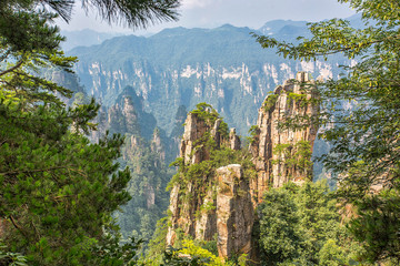 Panele Szklane  Niesamowity widok na naturalny filar z piaskowca kwarcowego Avatar Hallelujah Mountain wśród zielonych lasów i skał w górach Tianzi, Park Narodowy Zhangjiajie, prowincja Hunan, Chiny.