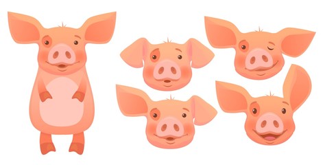 head of pink pig -set