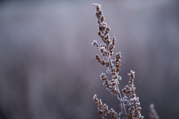 A beautiful silent winter Morning during sunrise