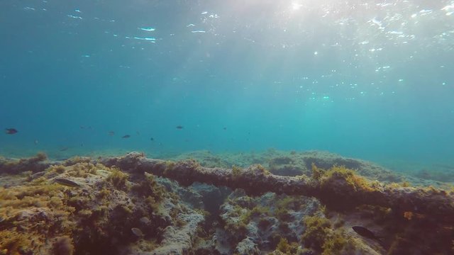 Rocky seabed illuminated by the rays of the sun and a communication cable in a pipe at the bottom of the sea. Underwater shooting.