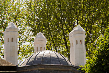 Fototapety na wymiar - Fototapeta24.pl