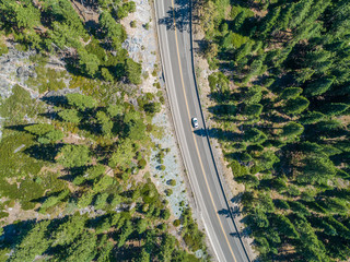 Top down aerial of road amongst forest, Lake Tahoe, Nevada