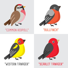 Different type of birds collection isolated on white background : Vector Illustration