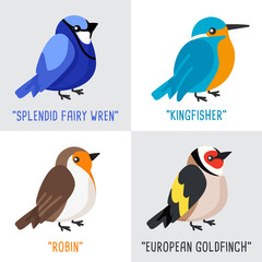 Different type of birds collection isolated on white background : Vector Illustration