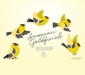 Flying birds collection isolated on pastel background : Vector Illustration