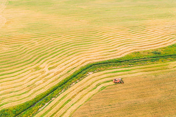 Obraz premium Aerial View Of Rural Landscape. Combine Harvester Working In Field, Collects Seeds. Harvesting Of Wheat In Late Summer. Agricultural Machine Collecting Golden Ripe. Bird's-eye Drone View