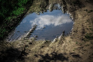 cloud reflection