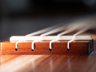 Ukulele 12
