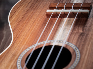Ukulele 11