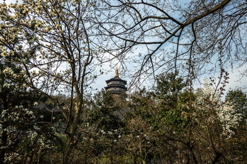 leifeng pagoda in hangzhou china