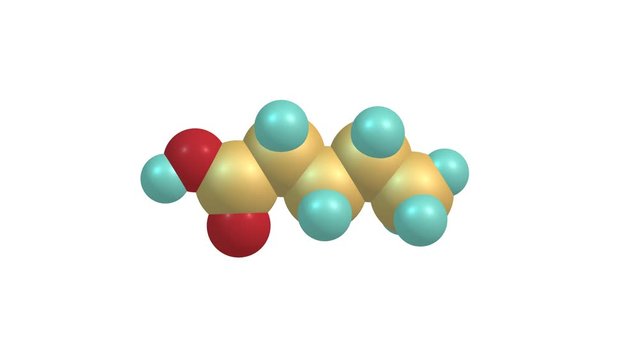 Rotating isolated valeric acid molecule video
