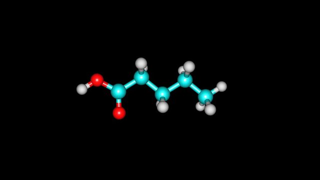 Rotating isolated valeric acid molecule video
