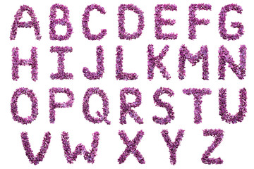 English alphabet of lilac petals isolated on white background