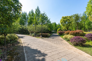 road in park