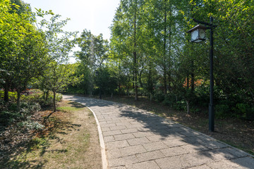 road in park