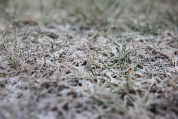 Frost, frozen nature